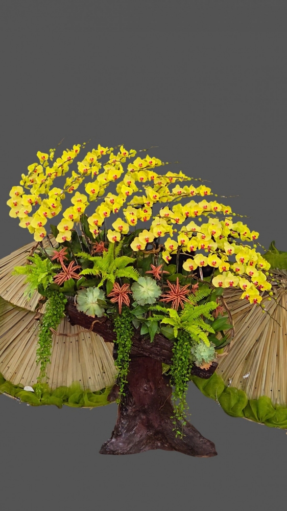 Hoa lan chúc mừng gỗ lũa 1