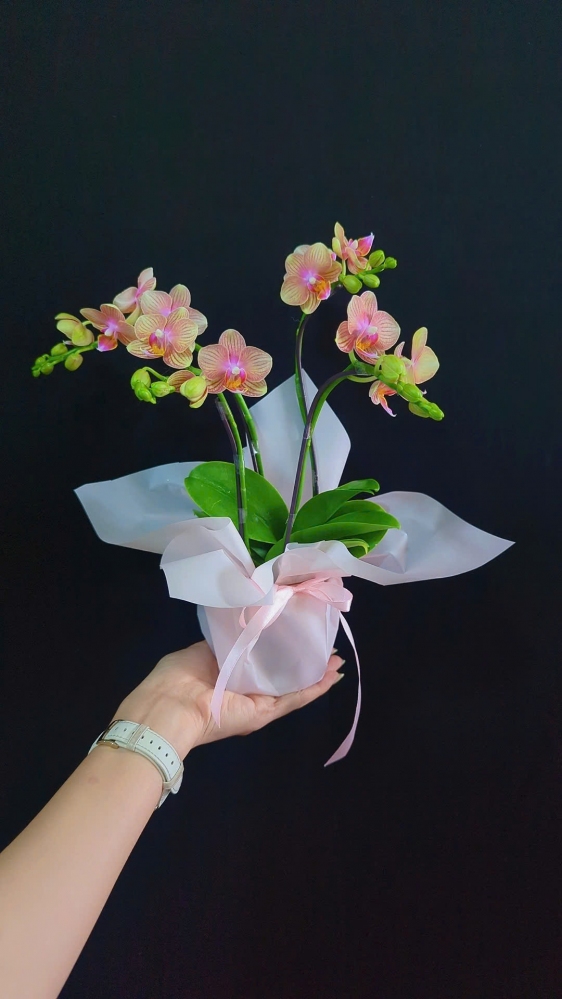 Hoa gói cầm tay 4