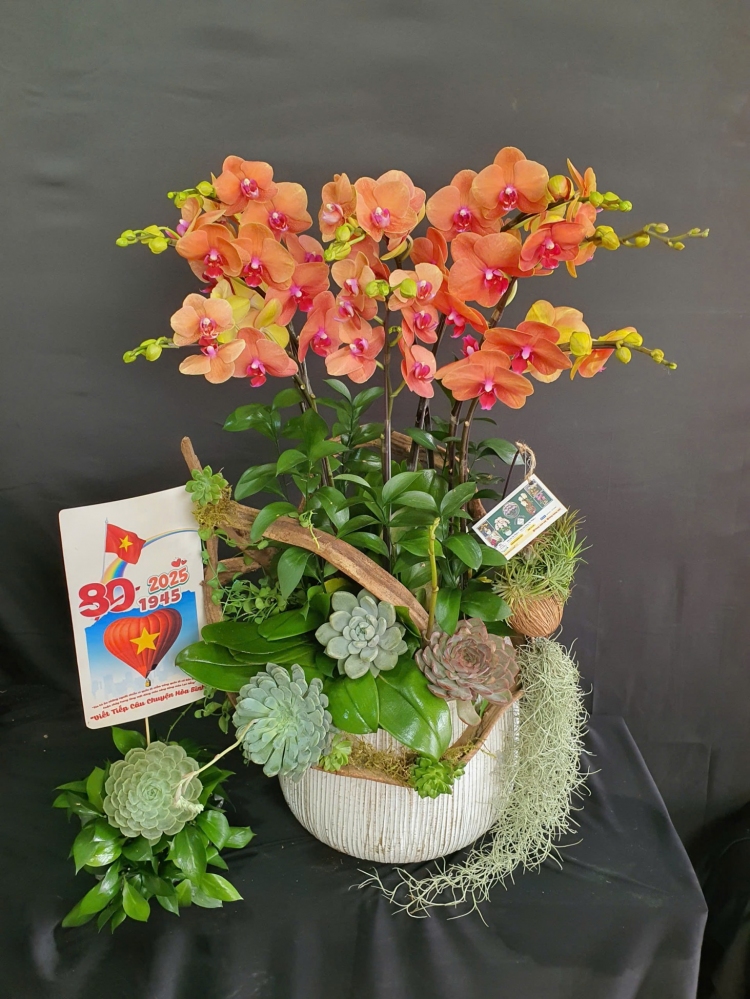 Mẫu hoa cam mix dây rừng và sen đá