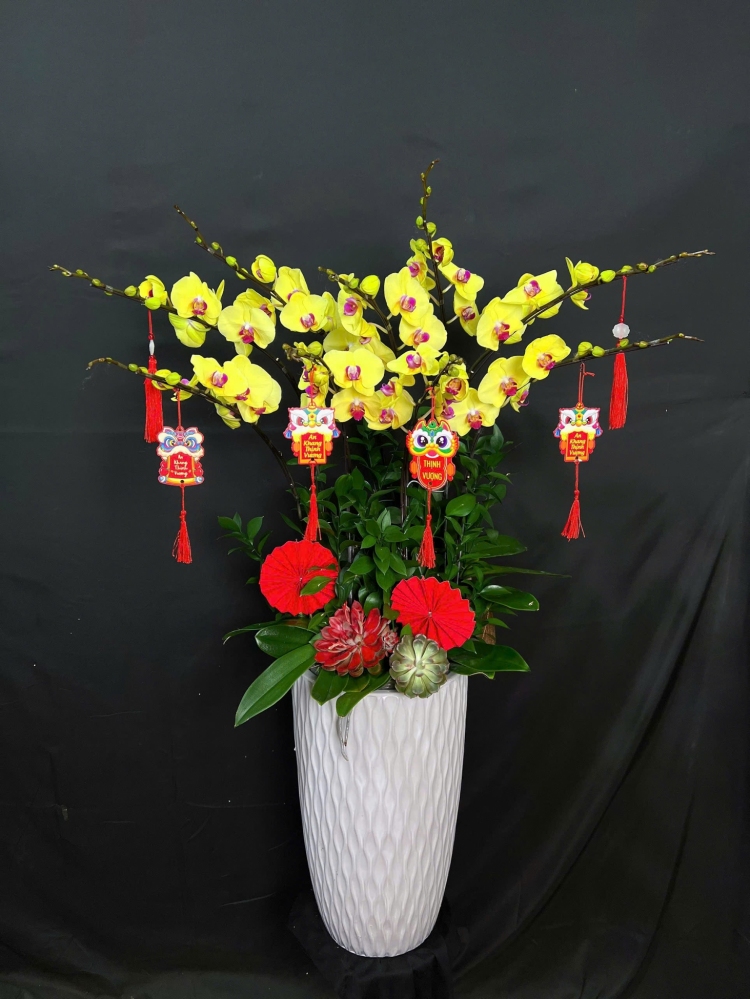 Lan Hồ Điệp Kim Ngọc Phú Quý - LHD280